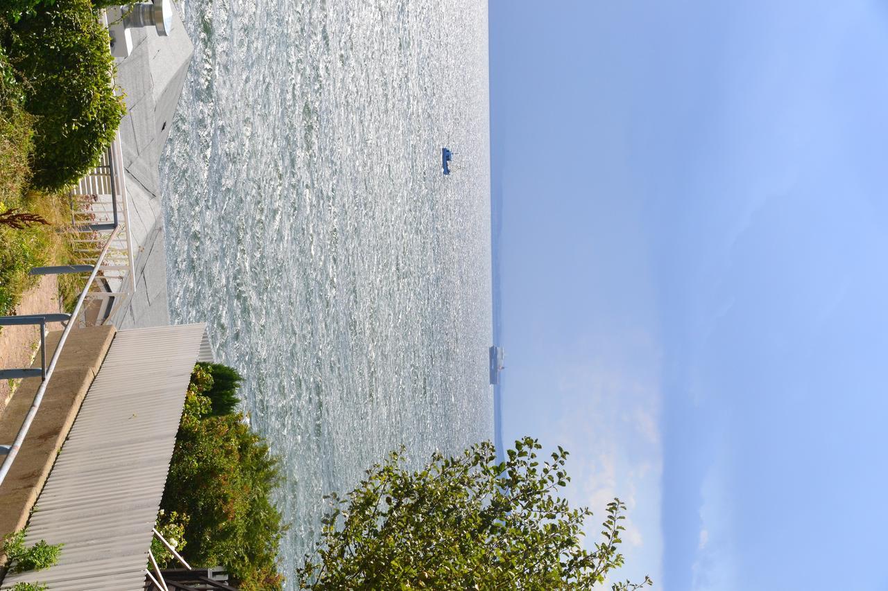 Meerforelle 207 - Villa Seeblick ซาสนิทซ์ ภายนอก รูปภาพ